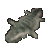 gecko pelt (skóra gekona) x5