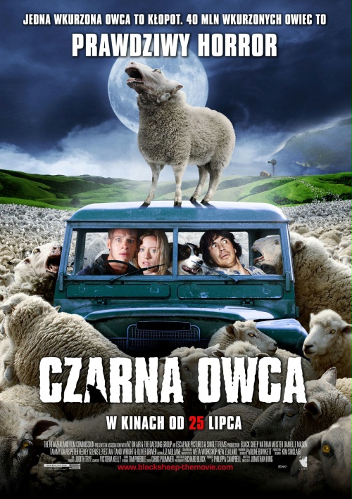 Plakat z filmu 'Czarna owca'