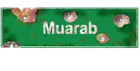 Logo gry 'Muarab'